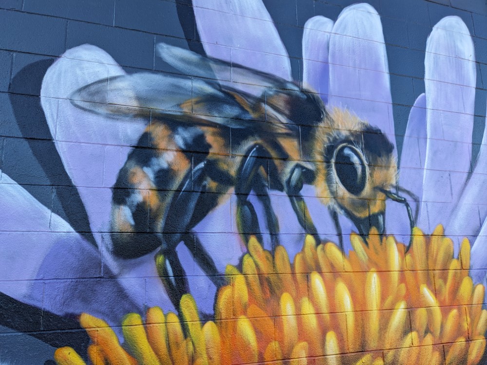 Wall art of a fuzzy bee