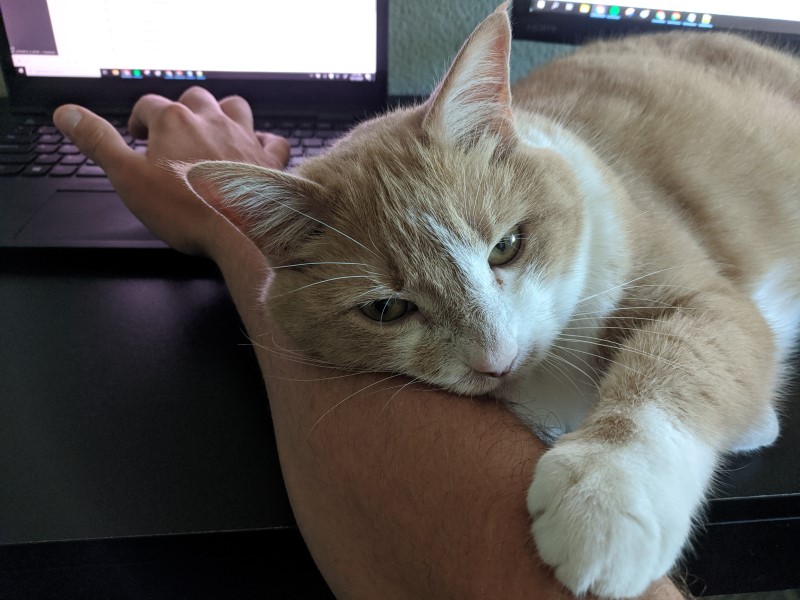 working from home with Stanley