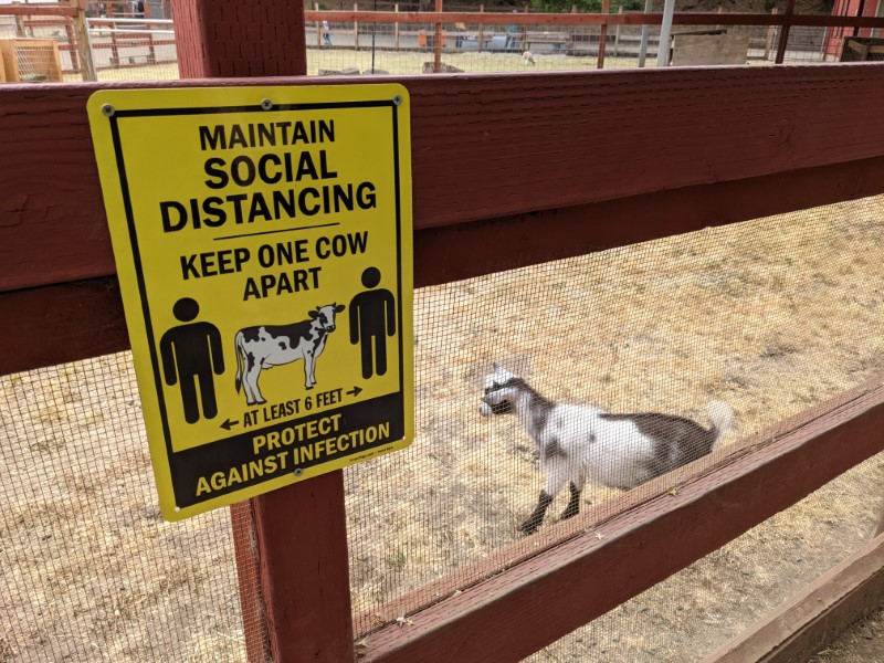 social distancing sign at a farm with a goat