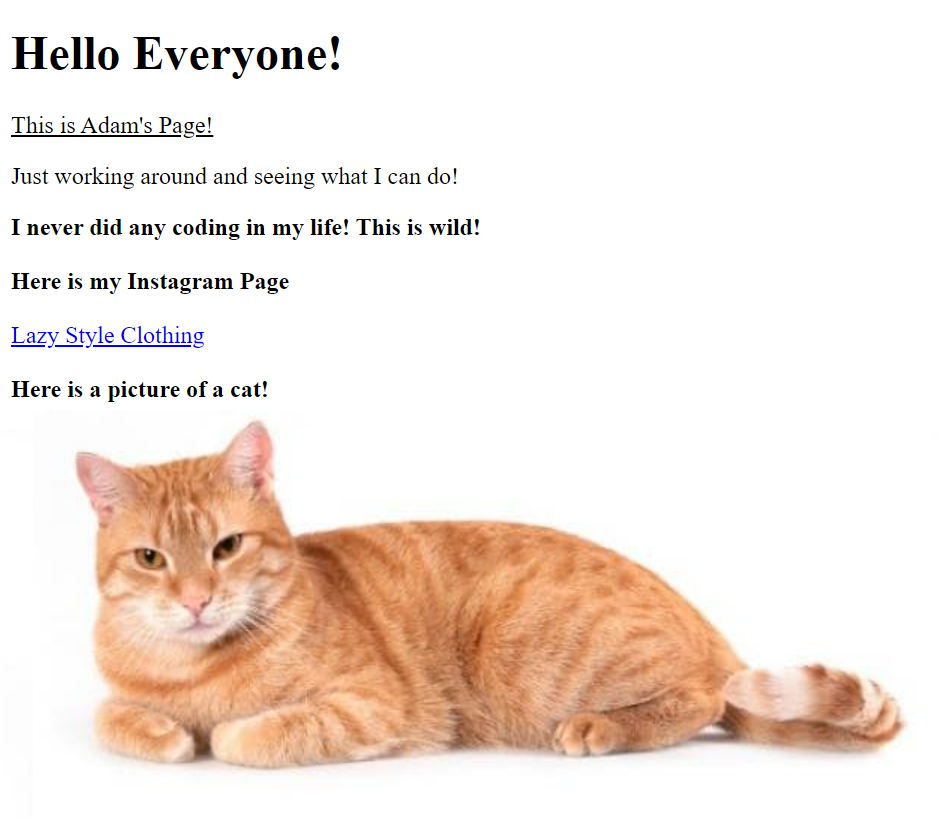 An HTML page with an introduction and a picture of a cat